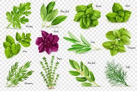 herbs aromatics