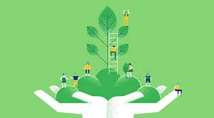 Embracing a Greener Tomorrow: The Eco-Friendly Revolution