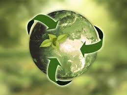 Embracing Sustainability: Building a Greener Future Together