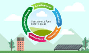 sustainable food