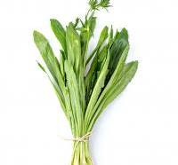 thai coriander